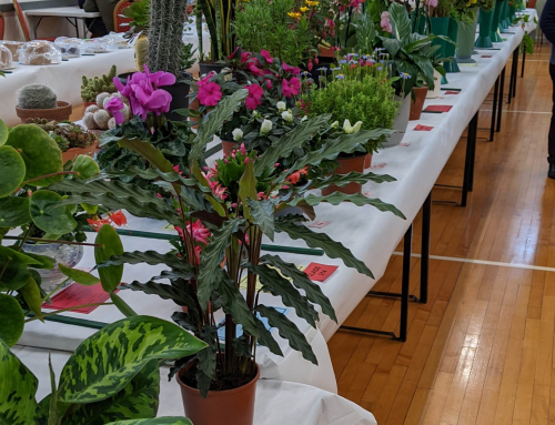 Horticultural Society : Gardeners’ Question Time