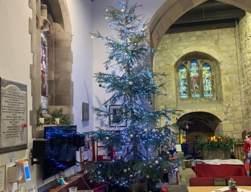 Gardening tips for January in Bolton-le-Sands