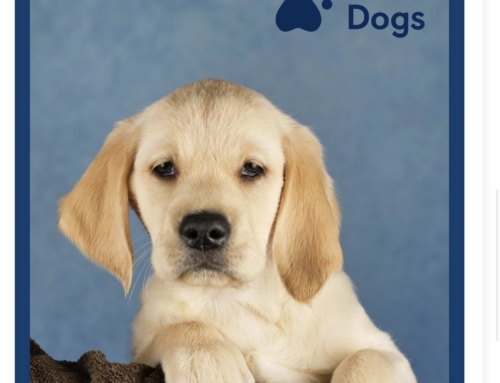 Dancing for Guide Dogs