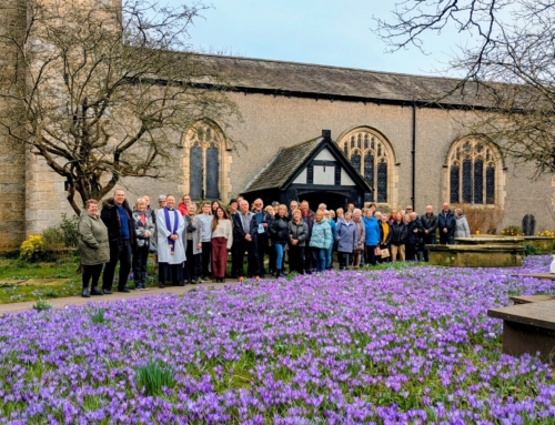 Gardening Tips for March in Bolton-le-Sands