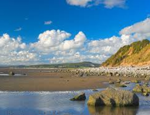 Gardening Tips for April in Bolton-le-Sands