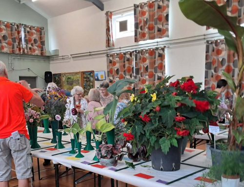 Horticultural Society Summer Show
